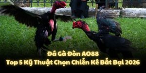 Đá Gà Đòn AO88: Top 5 Kỹ Thuật Chọn Chiến Kê Bất Bại 2026