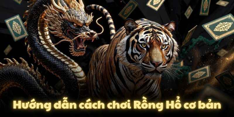 Hướng dẫn cách chơi Rồng Hổ cơ bản