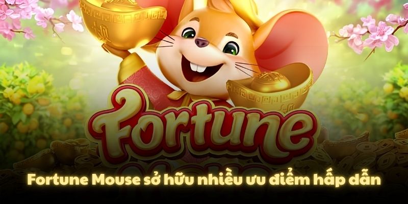 Fortune Mouse sở hữu nhiều ưu điểm hấp dẫn